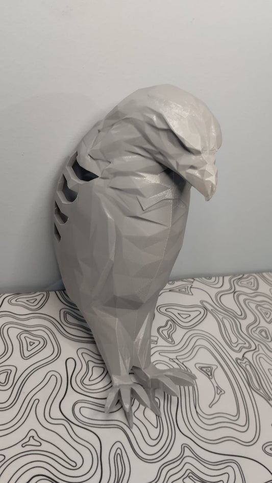 Kartal Duvar Lambası