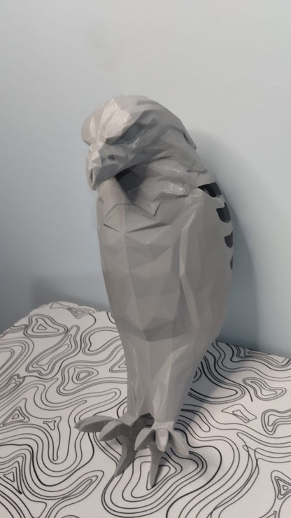 Kartal Duvar Lambası