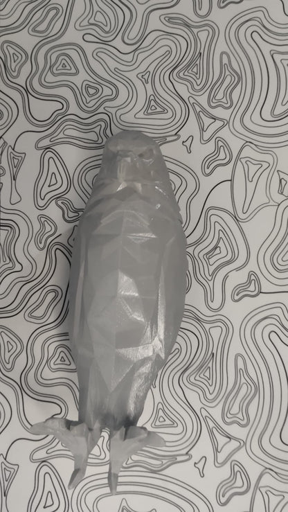 Kartal Duvar Lambası