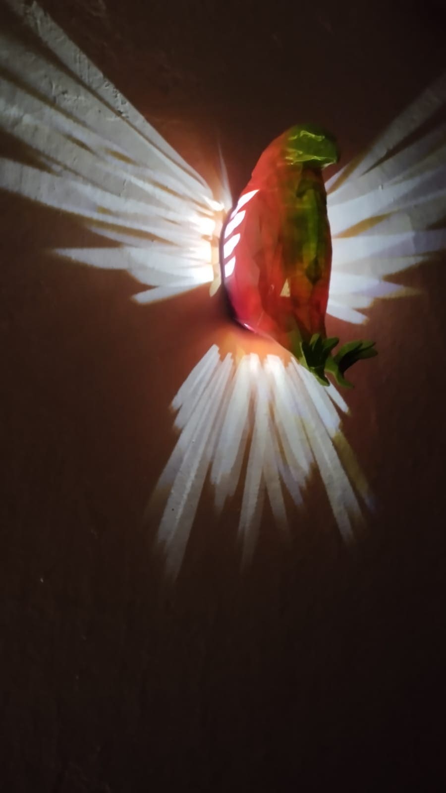 Kartal Duvar Lambası